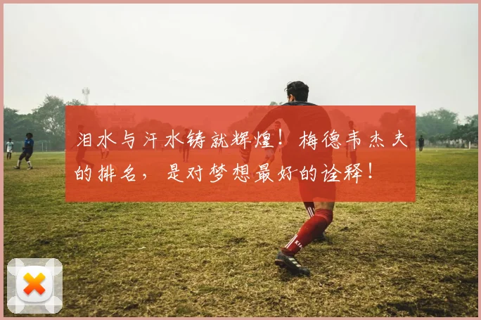 泪水与汗水铸就辉煌!梅德韦杰夫的排名,是对梦想最好的诠释!